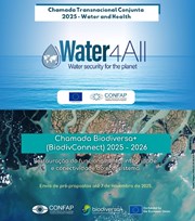 Imagem do WhatsApp de 2025-09-17 à(s) 15.37.14_a8d79bba